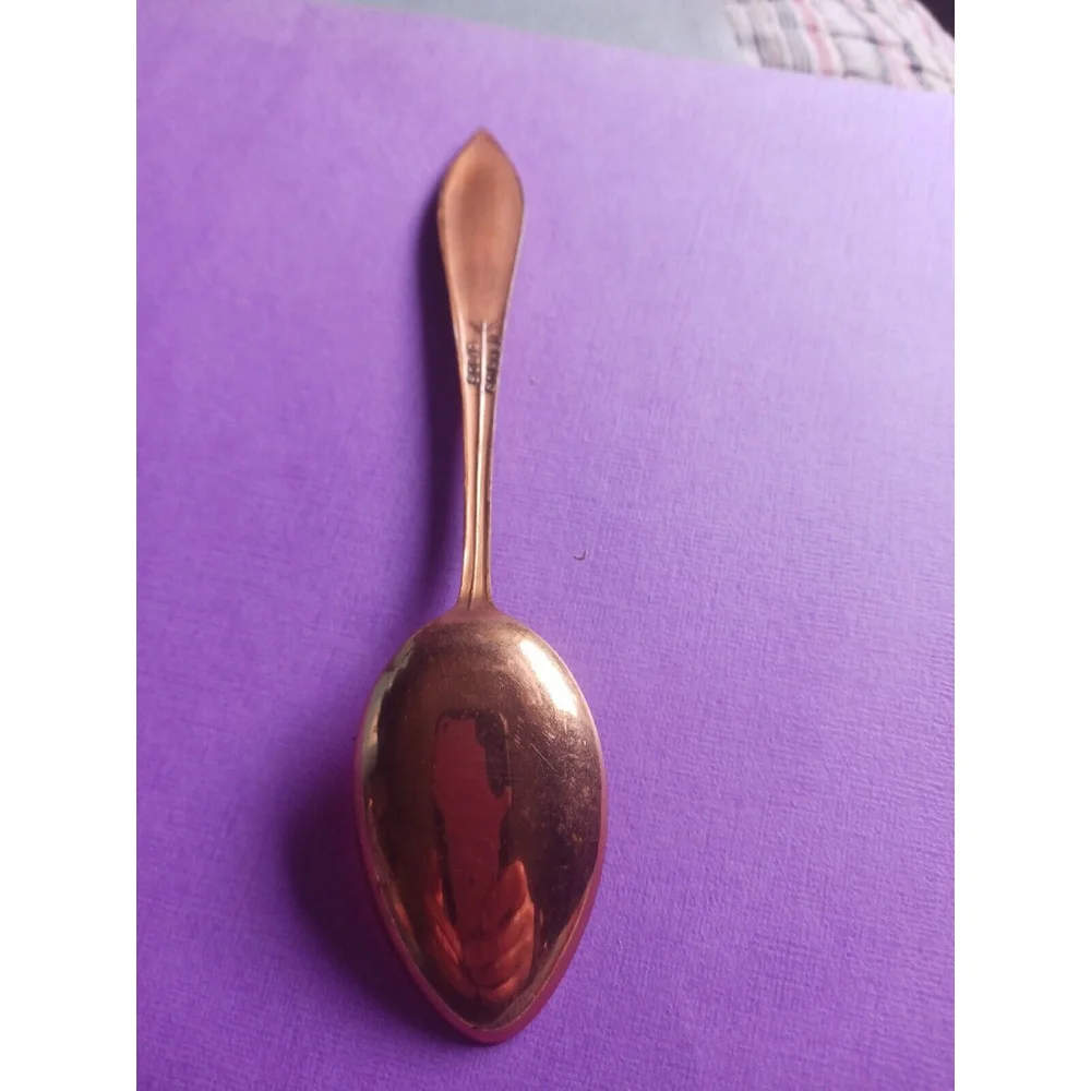 Vintage Michigan Souvenir Spoon Solid Copper E Pluribus Unum